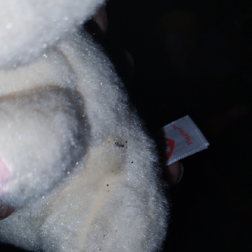 Ty Baby Piggie Plush Toy